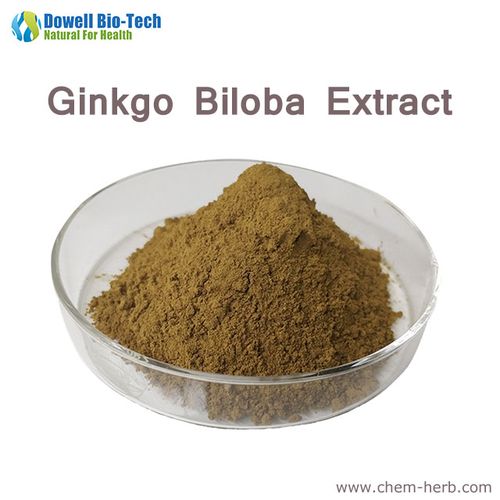 ginkgo biloba leaf extract 24% gingko flavonoids/6% terpene