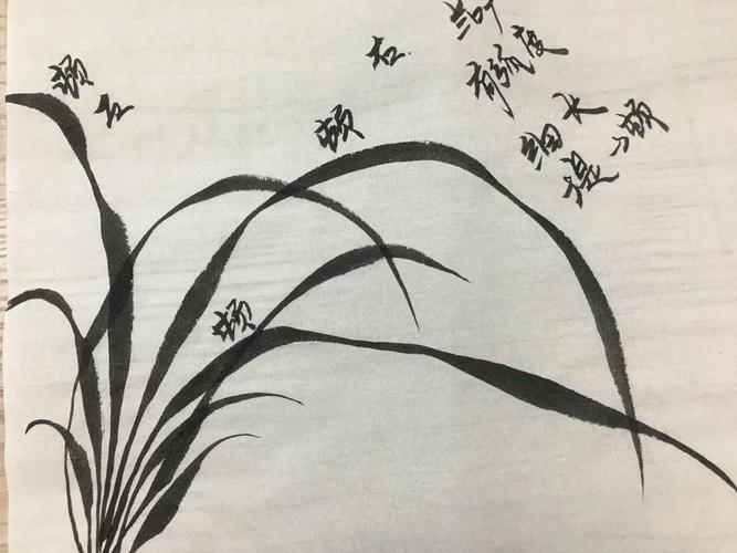 国画兰花的画法总结,收藏!