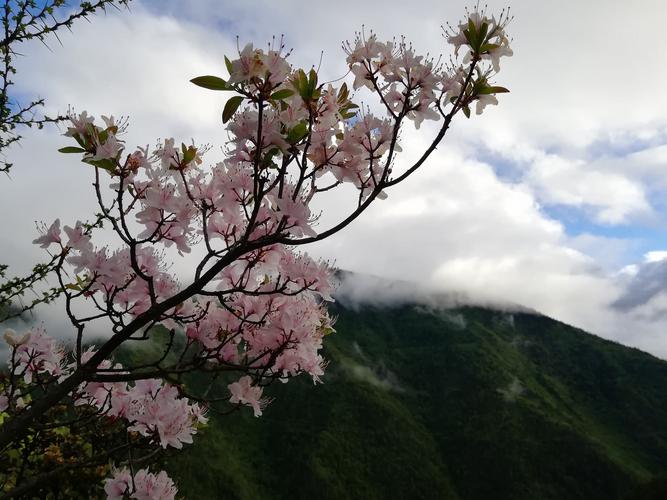 大自然鬼斧神工的确让人惊叹不已,白马雪山的惊艳,让我们欢呼雀跃.