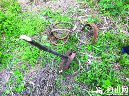 为防野猪糟蹋瓜果展茅一村民田里放捕兽夹