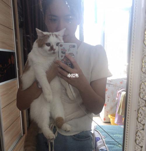 一只猫咪的成长,小豆丁9393_猫咪_牛山新村自由行热门攻略_猫咪