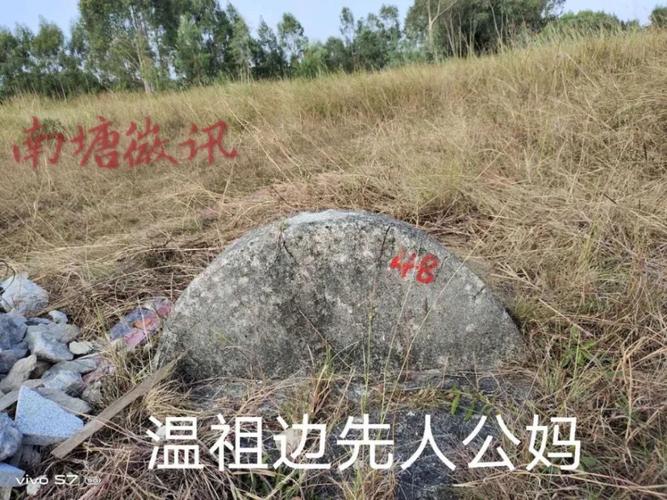 陆丰这12处坟墓至今无人认领