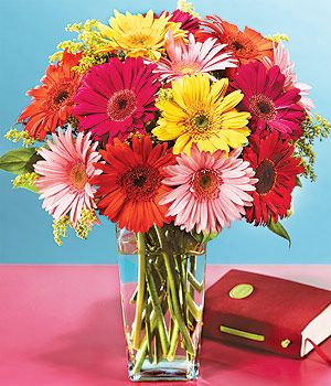 喜光,与月季,唐菖蒲,香石竹列为世界最畅销的"四大切花"