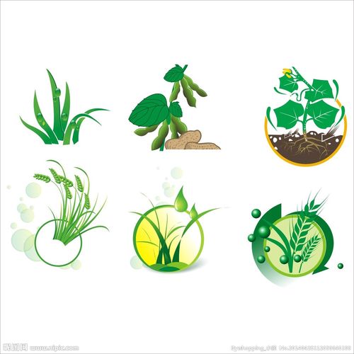 矢量农作物图片