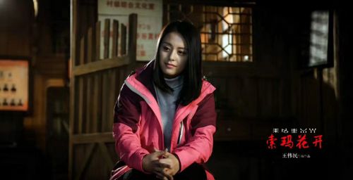 王力可凭《索玛花开》再登高峰被赞"央视一姐"