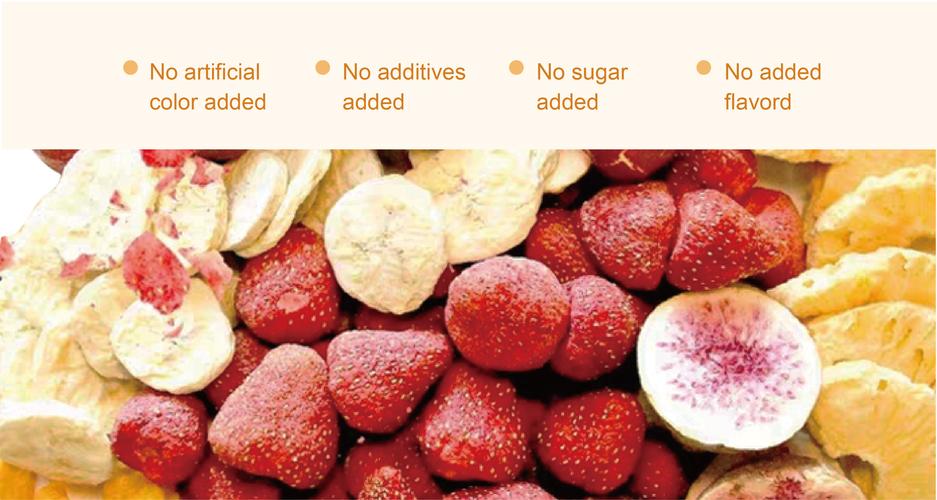 paramenters product name freeze dried organic food freeze-dried