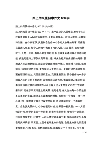 路上的风景初中作文600字.docx 12页