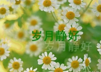淡出一份绵延悠长的爱意来 淡出一份悠然自得的生活来