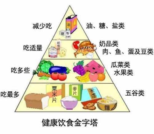 碳水化合物(糖类),油脂,蛋白质,维生素,水和无机盐(矿物质)是人体所需