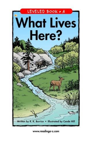 英语点读-what lives here.pdf 11页