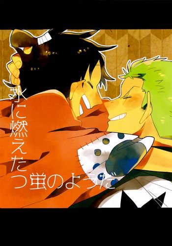 cp:索隆×路飞 -all路吧汉化组