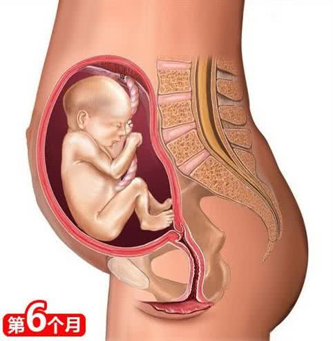 孕晚期,孕妇有5种感受,说明胎儿已顺利入盆,附胎儿入盆图解