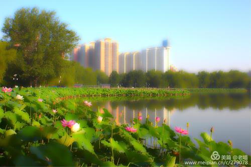 莲花池公园