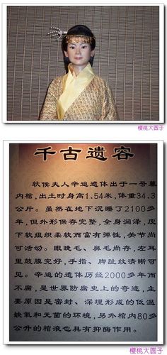 (辛追夫人复原蜡像及介绍,如果真是这样子的,还真的漂亮呢)