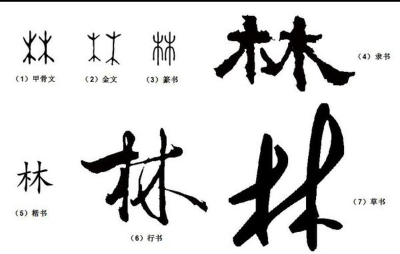 讲完了来源,我们就来讲一下林字的演变过程,先从甲骨文开始介绍:1我们