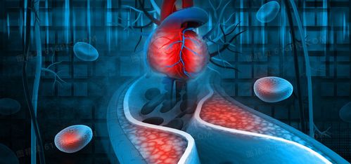 探索科技背景研究正方形血液 图精灵为您提供心脏科技蓝色医疗海报