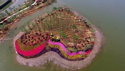 上虞:海上花田 五一开园