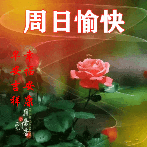 20216116131星期天早安30心语