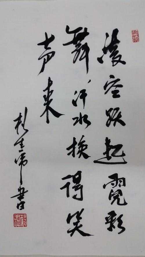 杨建伟赠亲笔题词:             凌空跃起霓彩舞,             汗水换
