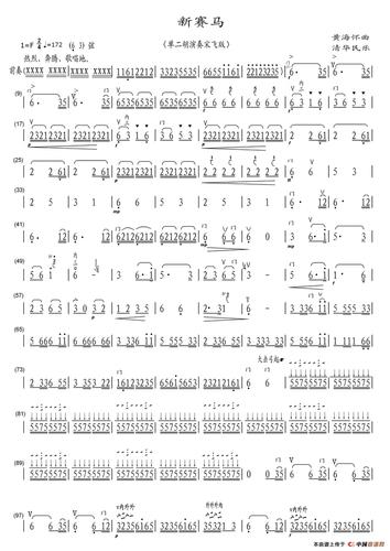 新赛马单二胡演奏宋飞版