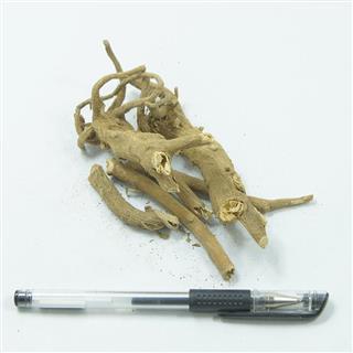 颠茄草根 统段 正品 优质 名医最爱 产地 山东省 冷背