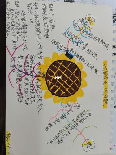 青铜葵花思维导图|四年级下册语文_语文_思维导图_阅读_博才白鹤小学