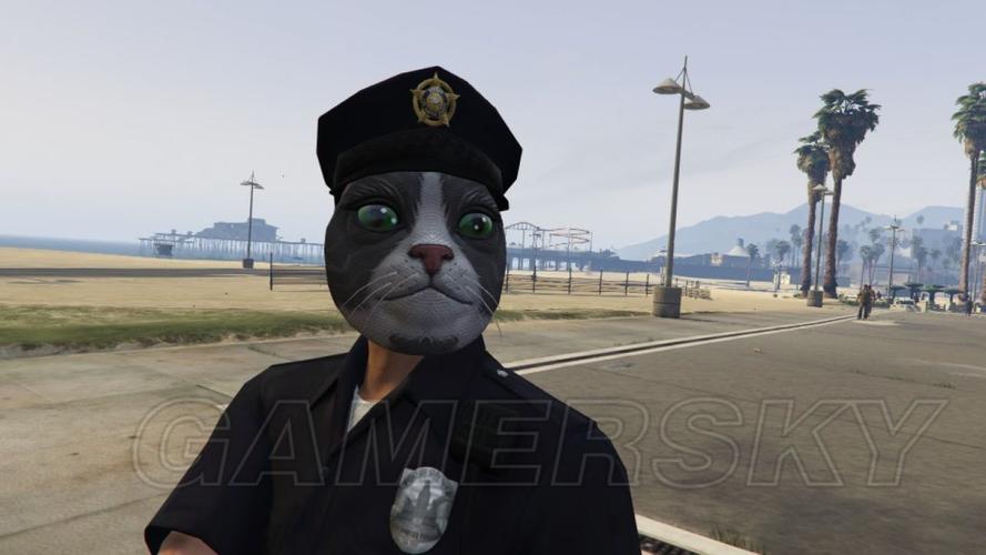 《gtaol》gta5警服戴面具方法与警服搭配一览(1)