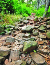 合肥大蜀山国家森林公园