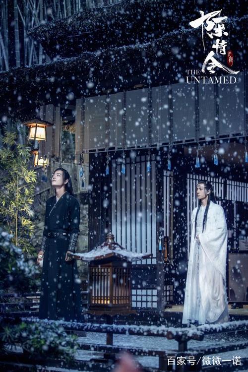 陈情令现代娱乐圈续写-浮生若梦114章指环,魏婴蓝湛