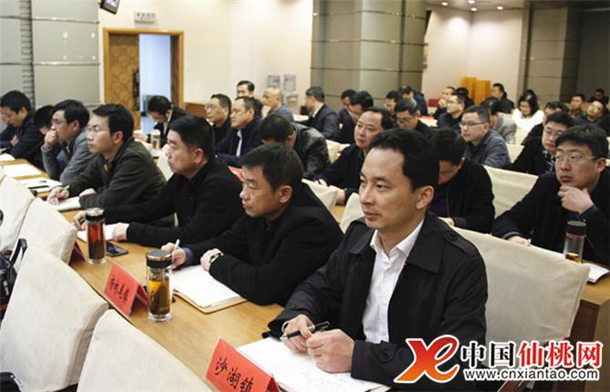 副市长李少云在仙桃分会场参加会议.