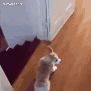 319_320gif 动态图 动图