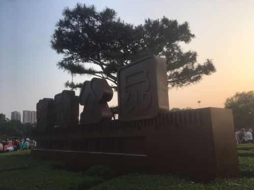 沈阳劳动公园经过改造后对市民开放