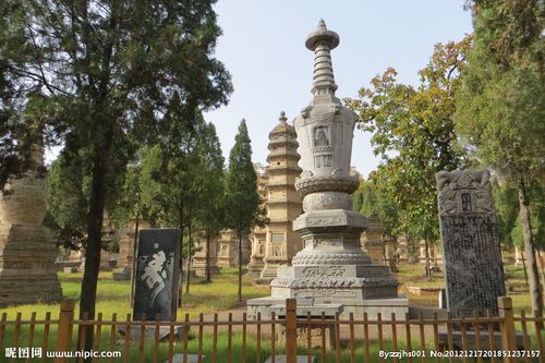 少林寺塔林图片