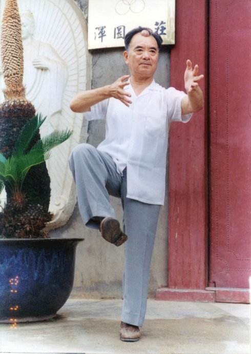 王安平先生的启示