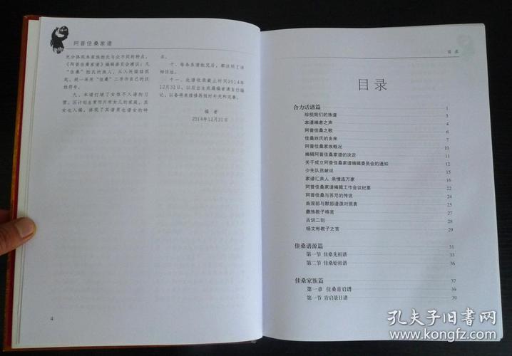 《阿普佳桑家谱》(杨氏彝族家谱) 少数民族家谱 彝文汉文对照
