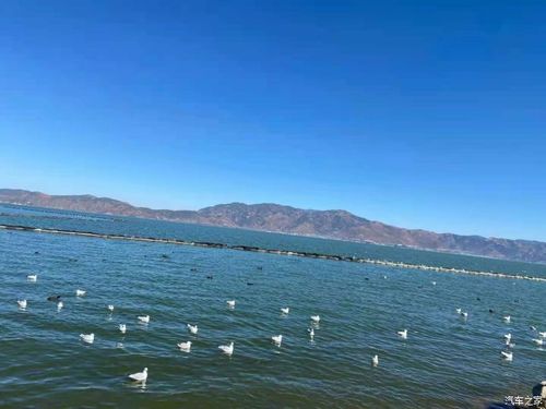 苍山洱海,南诏风情