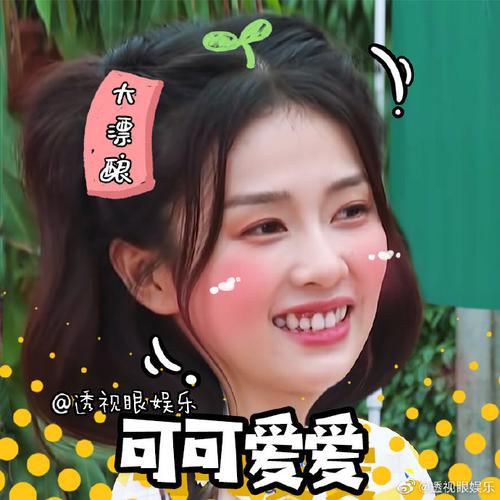 奔跑吧白鹿##白鹿#为白鹿女士的表情包库存添砖加瓦!#真让人头大