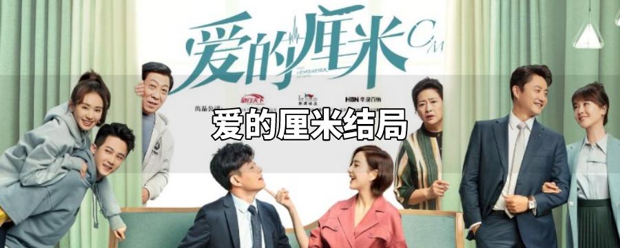 爱的厘米电视剧大结局