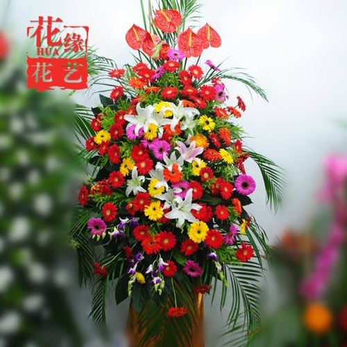 朋友做生意开张送什么花最好