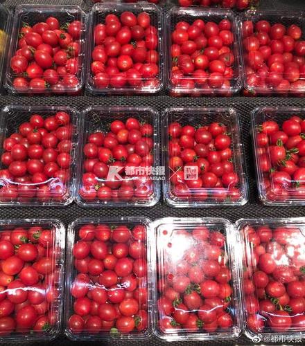 这两天,网上有款水果很火,叫"金西梅"