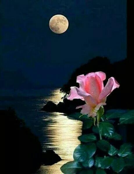 中秋佳节,祝愿月圆人团圆!