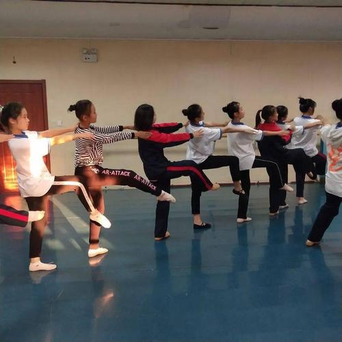 雪宫中学舞蹈队获临淄百灵艺术节一等奖