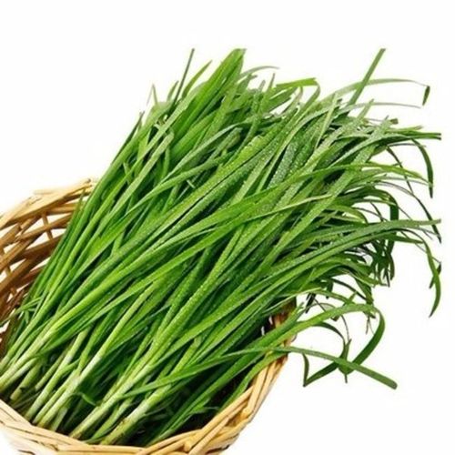 韭菜 绿色蔬菜 新鲜果蔬