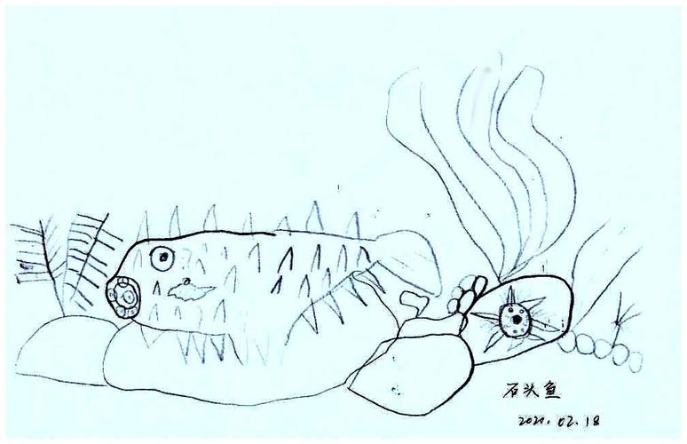 这是石头鱼