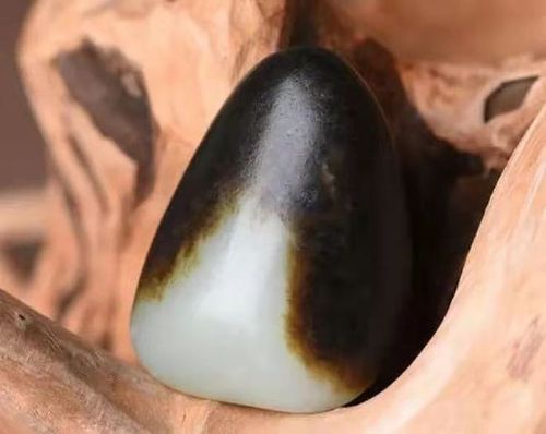 黑油皮籽料和田玉,比红玉和田玉籽料还要稀有,珍贵!