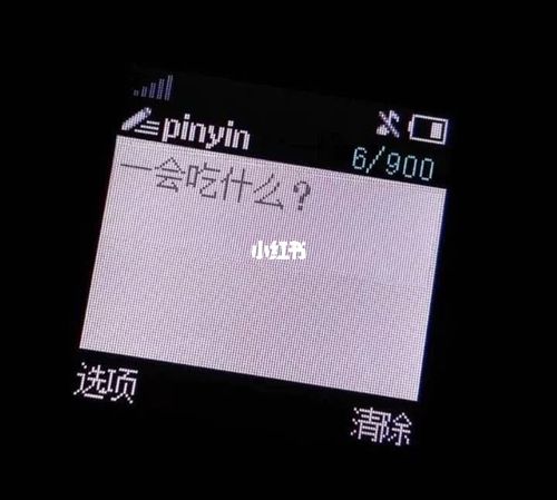 姐妹们 想入一个3ds老小三 求推荐_3ds_游戏_主机游戏