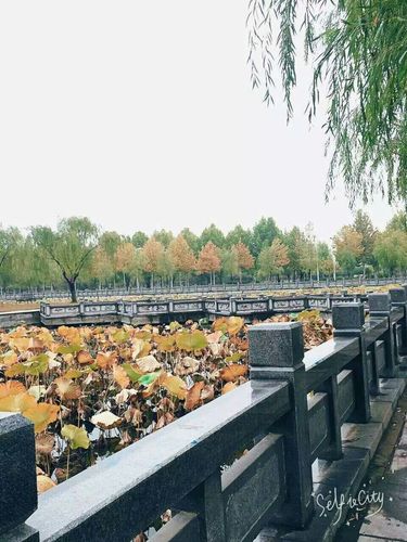 商丘师范学院
