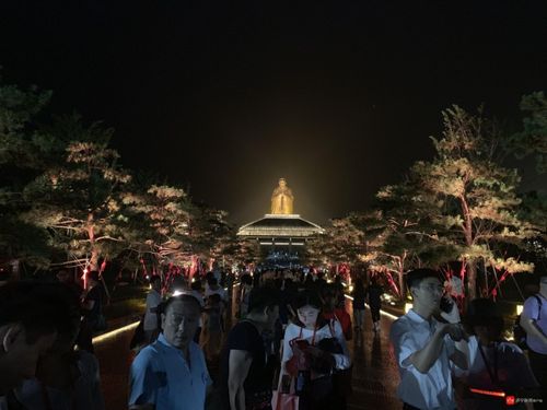相约尼山 乐享夏夜|曲阜尼山圣境文化夜游季盛大启动!