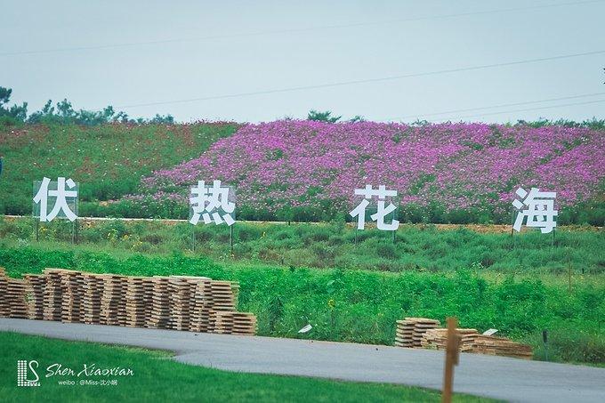 伏热花海庄园图片