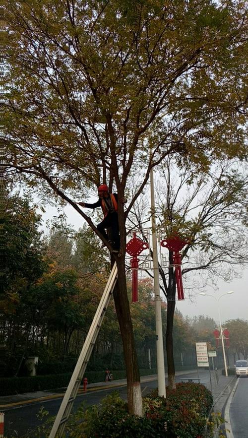 西安世园园林有限责任公司 第八标11.9日报